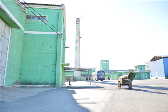 1、美狮贵宾会主厂区大烟囱成为阜蒙县一景.jpg